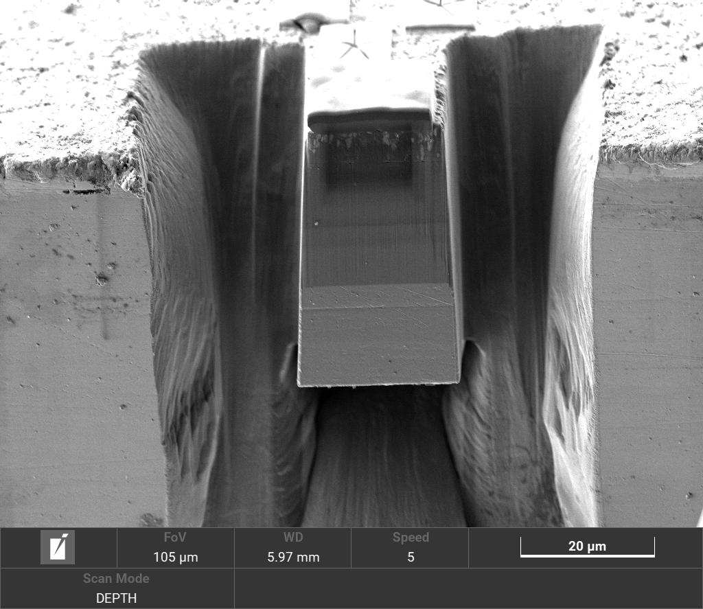 Electron micrograph showing the isolated volume