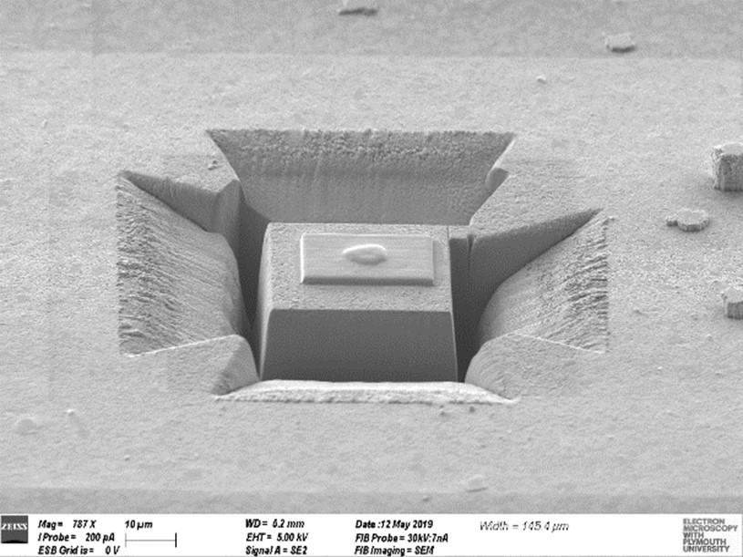 Figure 1. Electron micrograph showing the ROI being isolated with extra space on the left and bottom of the ROI
