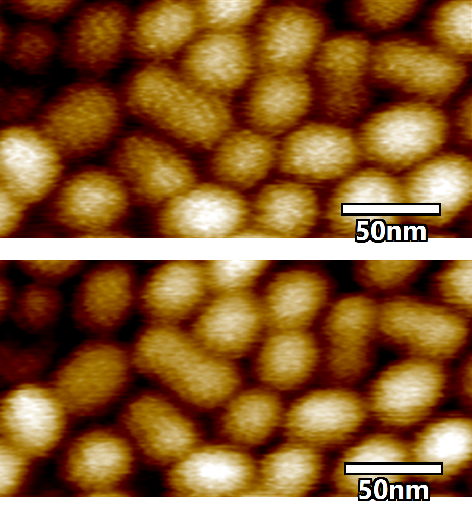 Image caption: Two frames from a high-speed Cypher VRS video-rate AFM movie of Hepatitis B virus particles imaged at 0.2 frames/second. The movie shows dynamic changes in the orientation of proteins in the capsid shells.