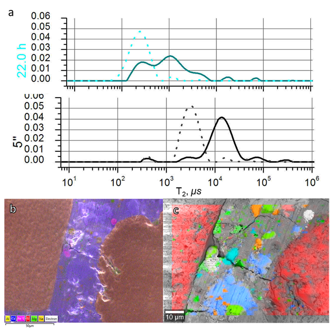 Figure showing different technique used to understand concrete microstructure including NMR T2 distributions, EDS and Raman