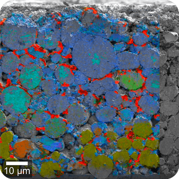 Scanning electron microscopy (SEM)