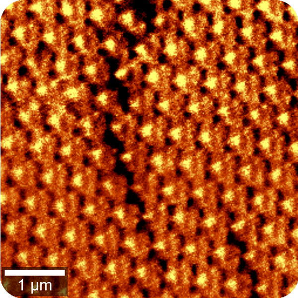 Scanning near-field microscopy (SNOM)