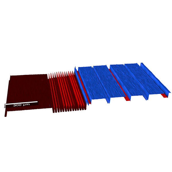 Topographic Raman Imaging