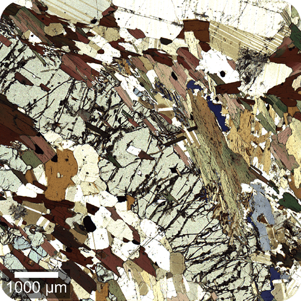 White-light microscopy options