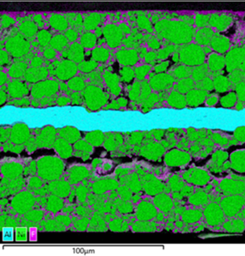 Electron micrograph showing the isolated volume