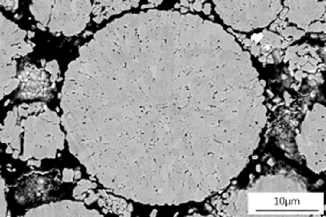Electron image of NCM811 particle in cross section showing its internal structure.