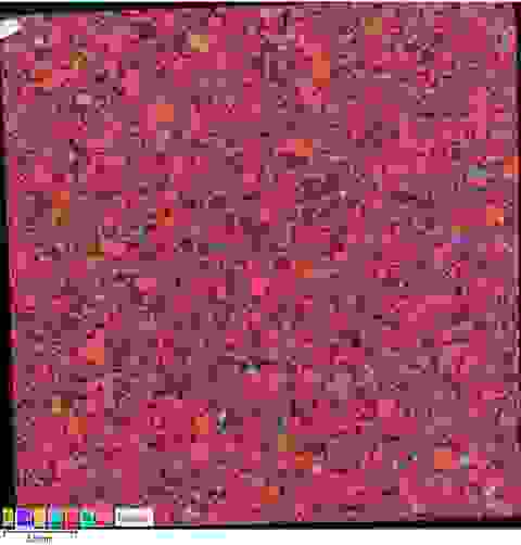 BEX cartography of Caspian Sandstone sample, 3.75 cm2, 2 hour acquisition time, 19 Million X-ray pixels.