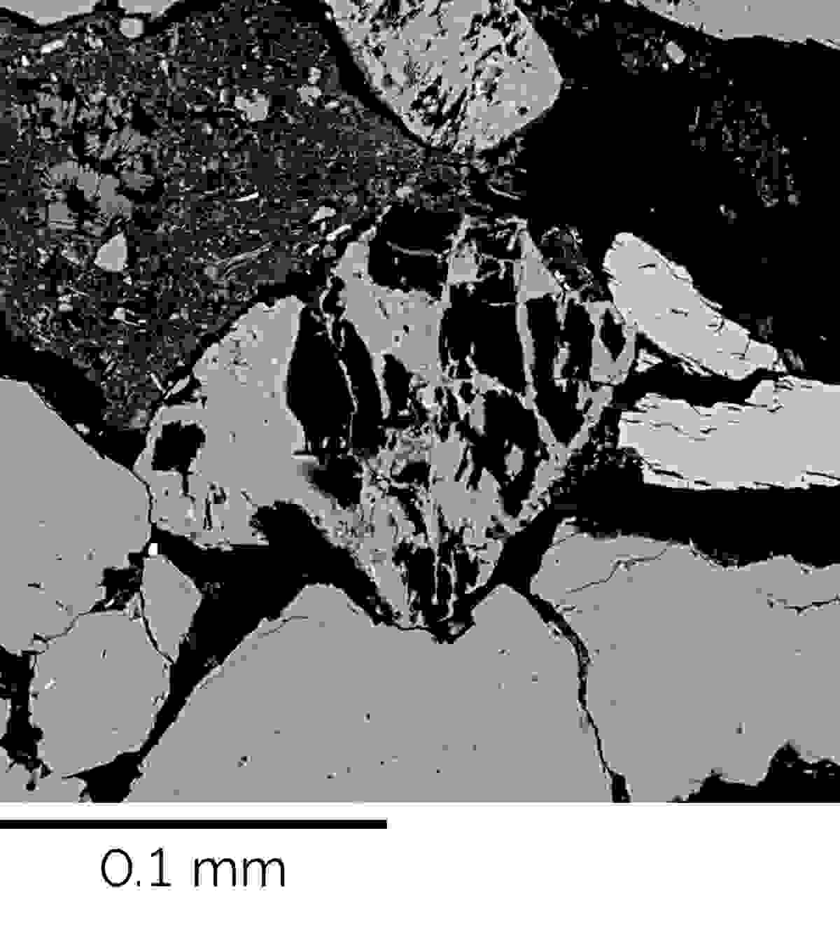 BSE image of plagioclase crystal exhibiting a skeletal structure.