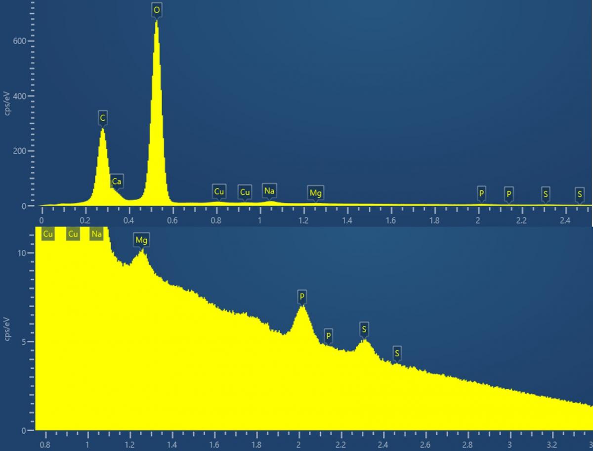 Raman and EDS – A Perfect Pairing for Puzzling Problems - Oxford ...