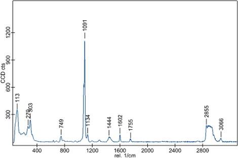 Raman spectrum of the manufacturing powder obtained using the WITec alpha300r