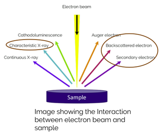 Diagram showing the interaction between the electron beam and sample