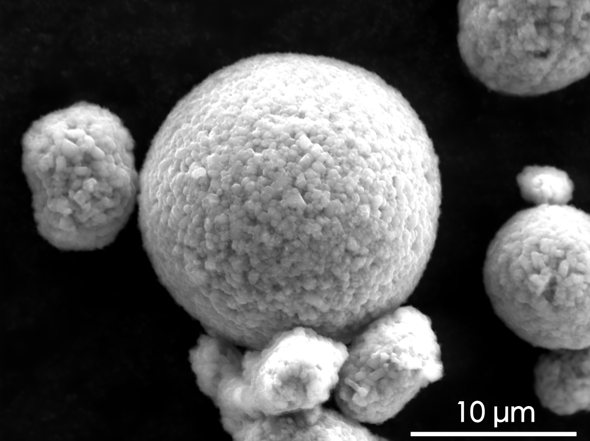 Secondary electron images NCM811 battery cathode precursor particles.