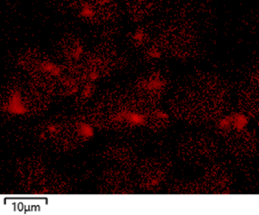 WDS map of Zr dopants on NCM811 powder particles