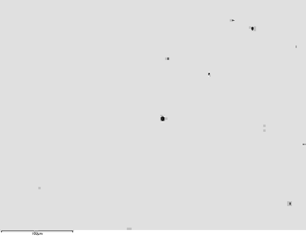 BSE image showing inclusions