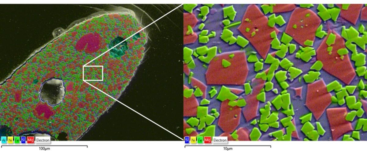 Image showing EDS of the fusion crust at (left) 20kV and (right) 5kV