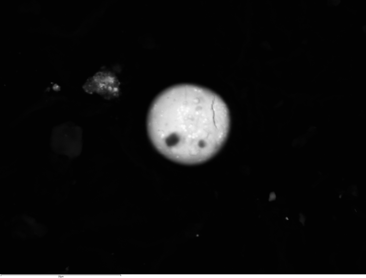 Gunshot Residue Analysis figure 2