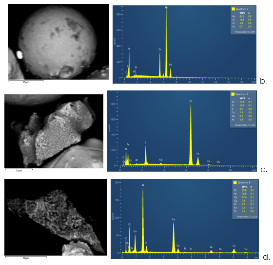 examples of the morphology and composition of different contaminant particles.