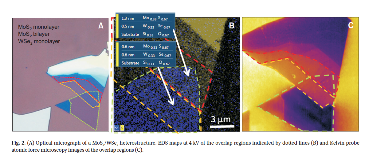 ﻿Nanomaterial Growth and Characterisation figure 1