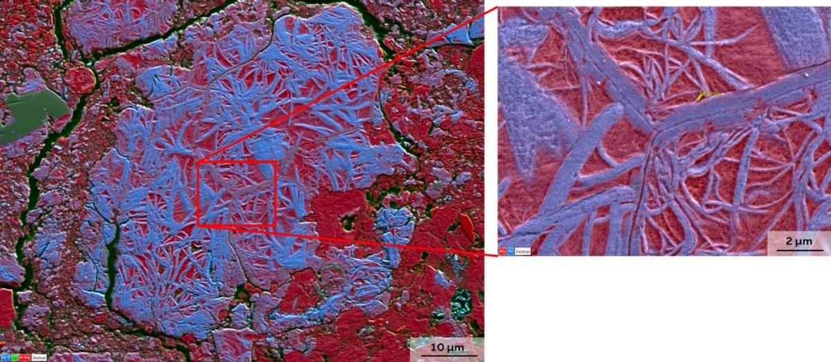 Image showing EDS using UltimExtreme detector at (left) 5kV and (right) 3kV