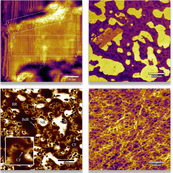 AFM polymer variety