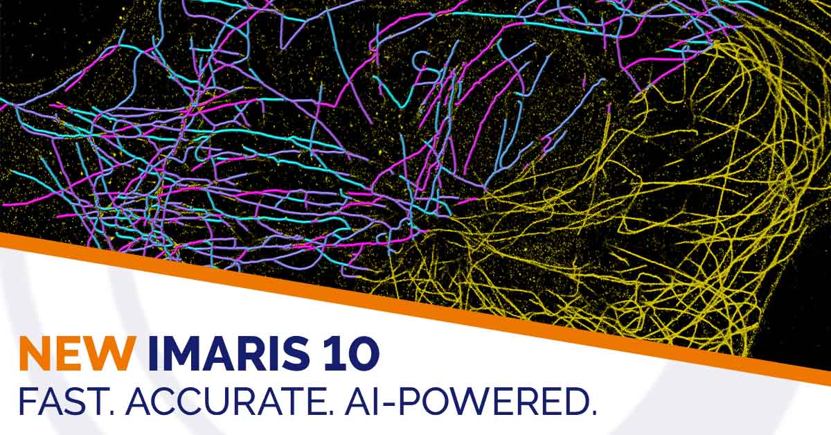 Imaris Launches 10.0, an AI-powered Software For Fast and ...
