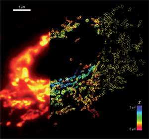 Raman Spectroscopy