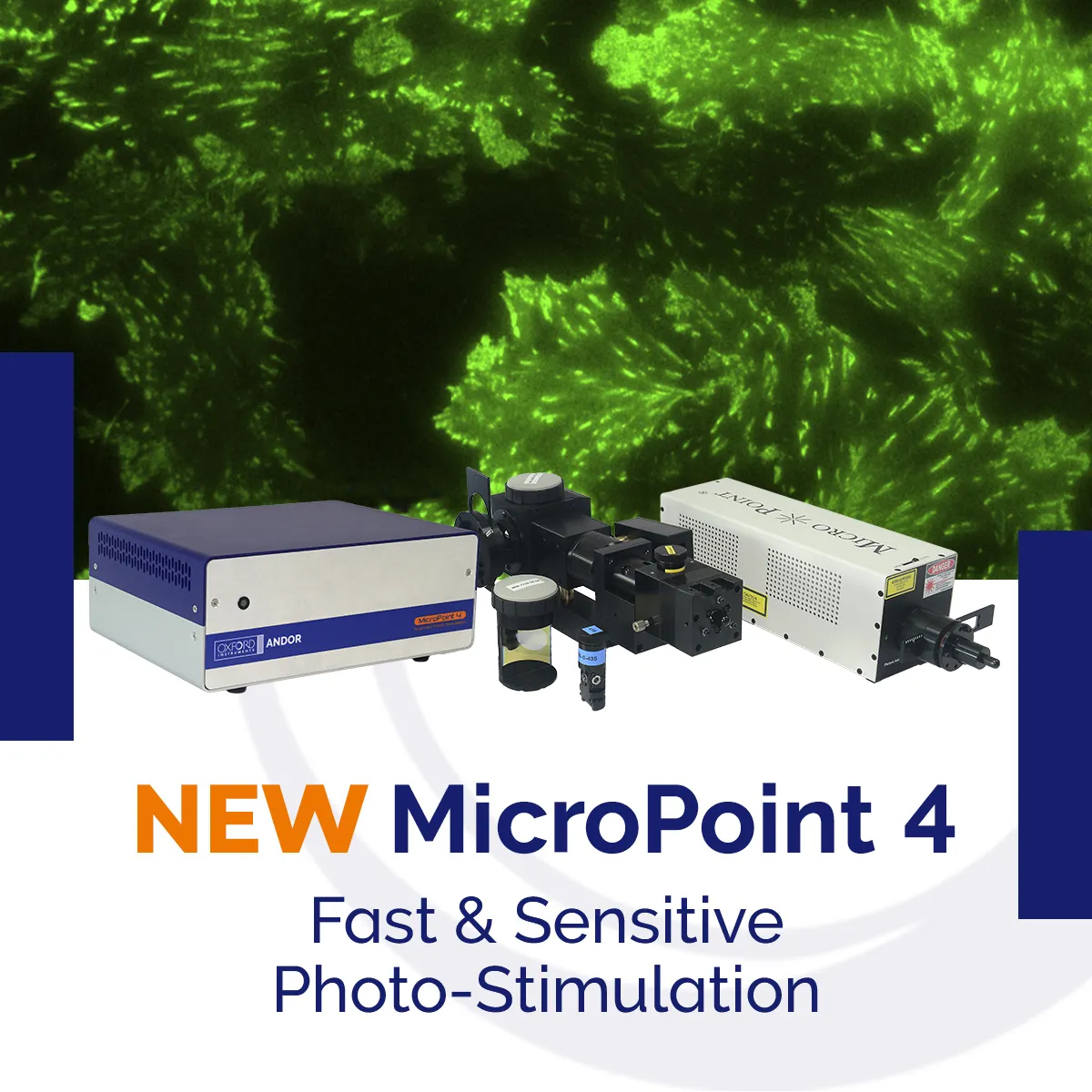 Andor Launches MicroPoint 4, a High-end Photo-stimulation Device ...