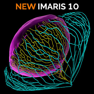 Try the new release of Imaris now