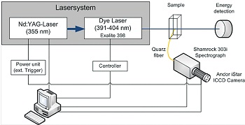 Figure 1. Schematic view of the TRLFS setup.