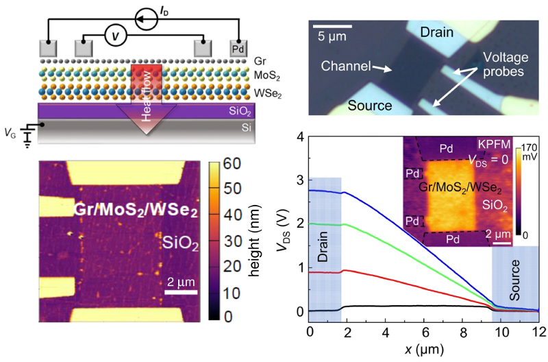 (top) Schematic and optical image of Gr/MoS2/WSe2 test structure; (bottom) topography image of uncapped heterostructure device; graph of surface potential across the device at different bias voltages with inset showing surface potential image of an entire device.