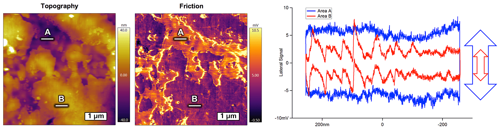 Topographic and friction images of a tribofilm after one hour with corresponding friction loops