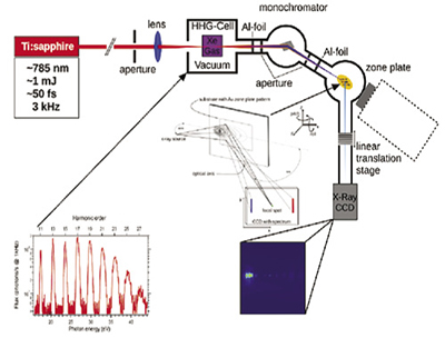 Experimental Setup