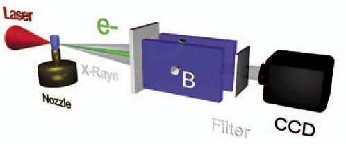 Experimental setup for the detection and characterization of betatron radiation from laser-plasma-interaction in a He gas jet