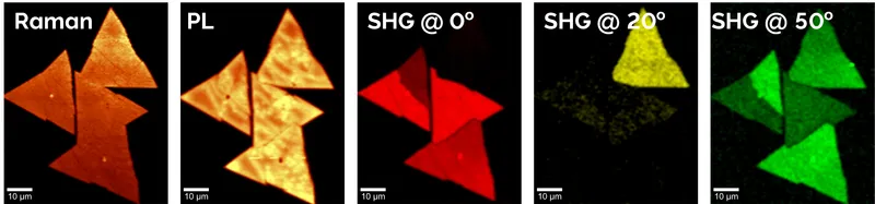 Representative image examples of WS2 flakes obtained with an automated workflow