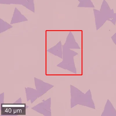 Bright-field image of WS2 flakes