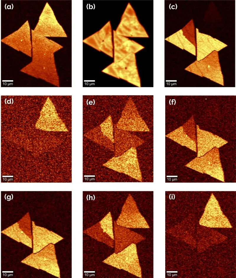 Raman, PL and SHG image set of WS2 flakes acquired using the automated measurement workflow.