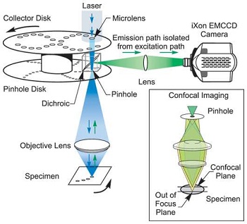 Diagram showing how only light (denoted by green) from the right plane passes through the pinhole