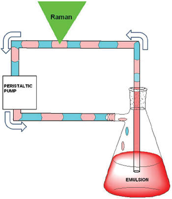 Schematic of the flow system / Raman sampling setup