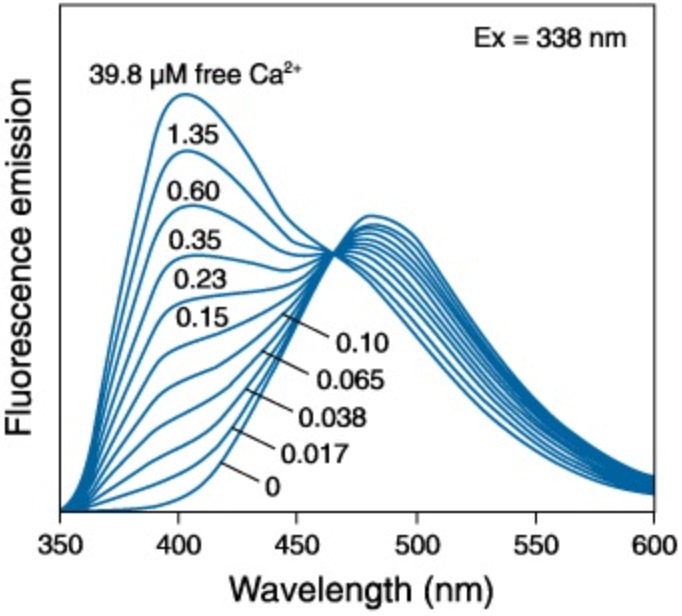 Fluo-4 AM, Calcium Indicator