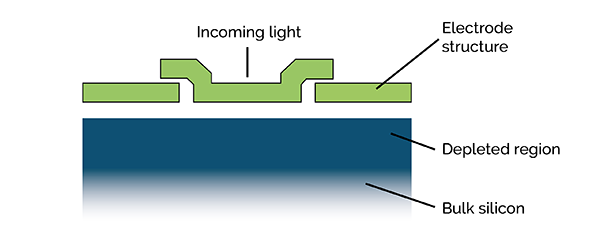 CCD-Electrode