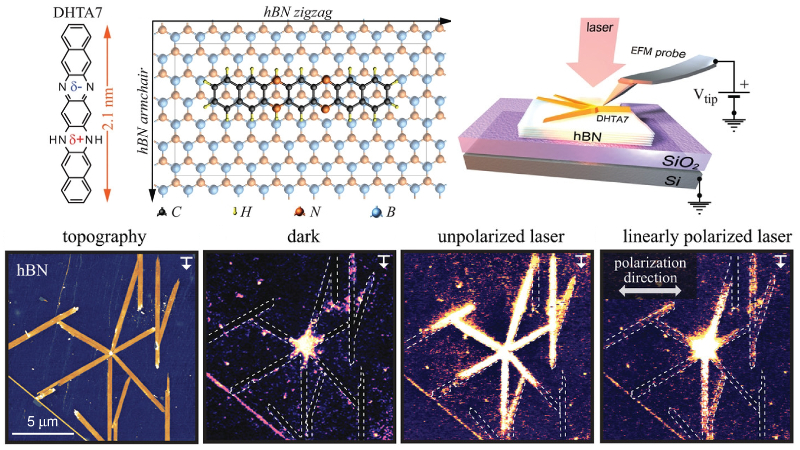 Structure and preferred adsorption site on hBN of a DHTA7 molecule; setup for single-point charging EFM experiments; topography of a DHTA7 fiber network on hBN and EFM phase images after charging: in the dark, with unpolarized light, and with linearly polarized light.