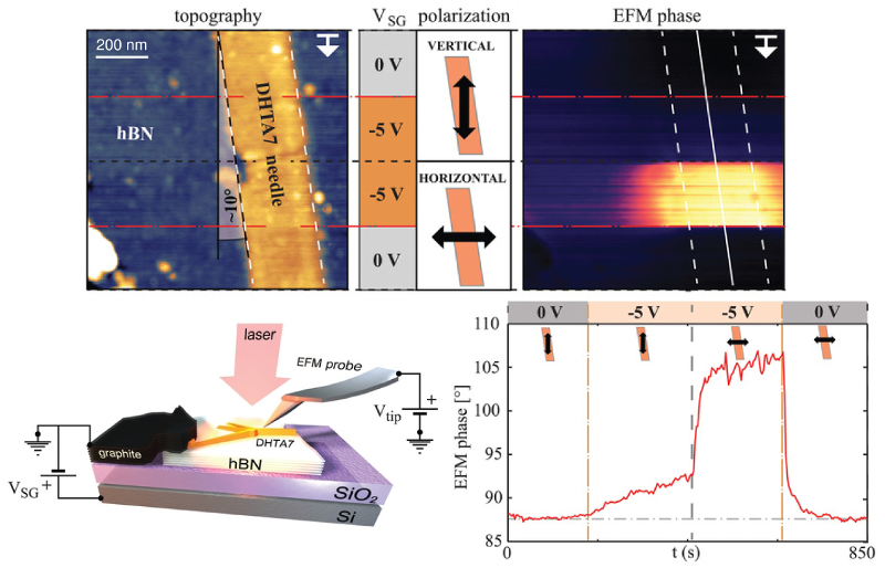 Topography image of DHTA7 crystallite and schematic of variations in gate voltage and laser polarization direction during experiments; corresponding EFM phase image; setup for EFM experiments with externally-injected excess charge; EFM phase line section along the solid line in the image.