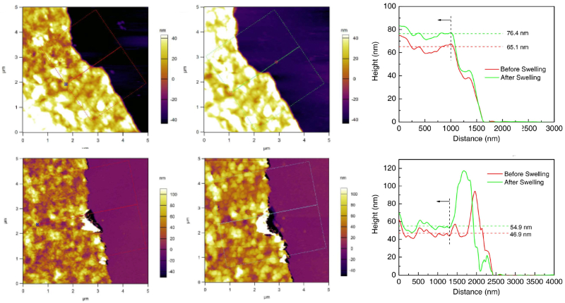 Topography images and corresponding line sections of polyamide selective layers before and after immersion in N,N-dimethylacetamide to evaluate swelling ratio.