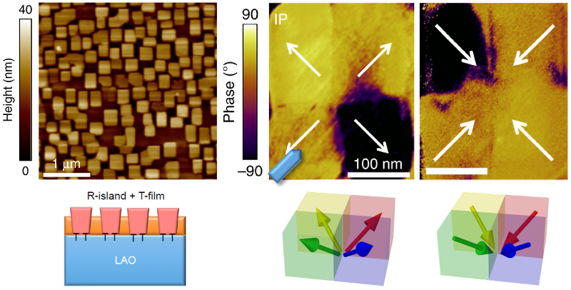 (left) Topography image and conceptual drawing of BFO film with self-assembled nanoislands; (right) PFM in-plane phase images for a nanoisland before and after polarization switching, and schematics with corresponding polarization vectors.