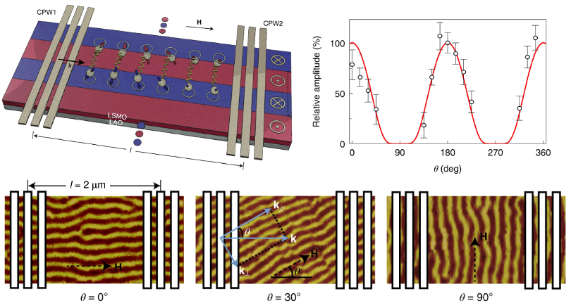 Schematic of spin-wave propagation in an LSMO film with periodic domains; MFM images of LMSO film with at domain orientation angles θ = 0°, 30°, and 90°; graph of relative spin-wave transmission amplitude vs. θ.