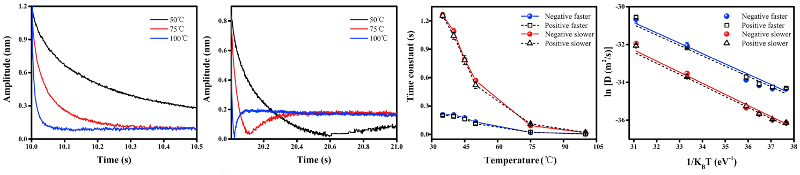 Relaxation behavior measured at 55, 75, and 100 C; time constants versus temperature for faster and slower relaxation processes; plot of D versus inverse temperature to obtain activation energy.