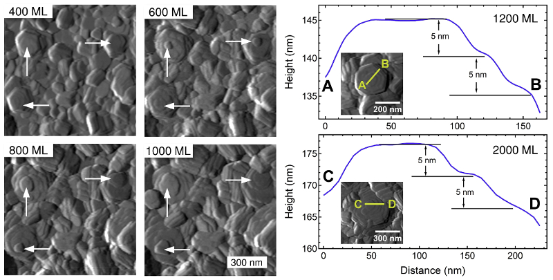 In-situ AFM topography images and height profiles across selected features for different numbers of zinc monolayers