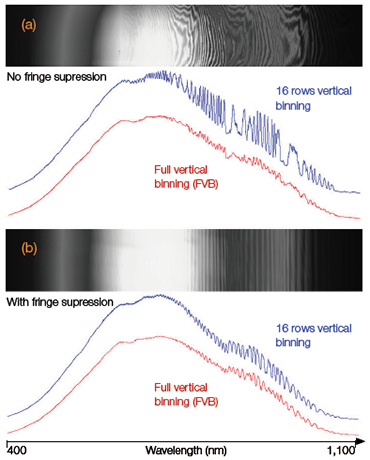 FVB spectra and 16-row high binned track spectra of a broadband tungsten source acquired with a ‘standard’ back-illuminated CCD and a back-illuminated CCD with ‘fringesuppression’ attached to a Shamrock 750 spectrograph