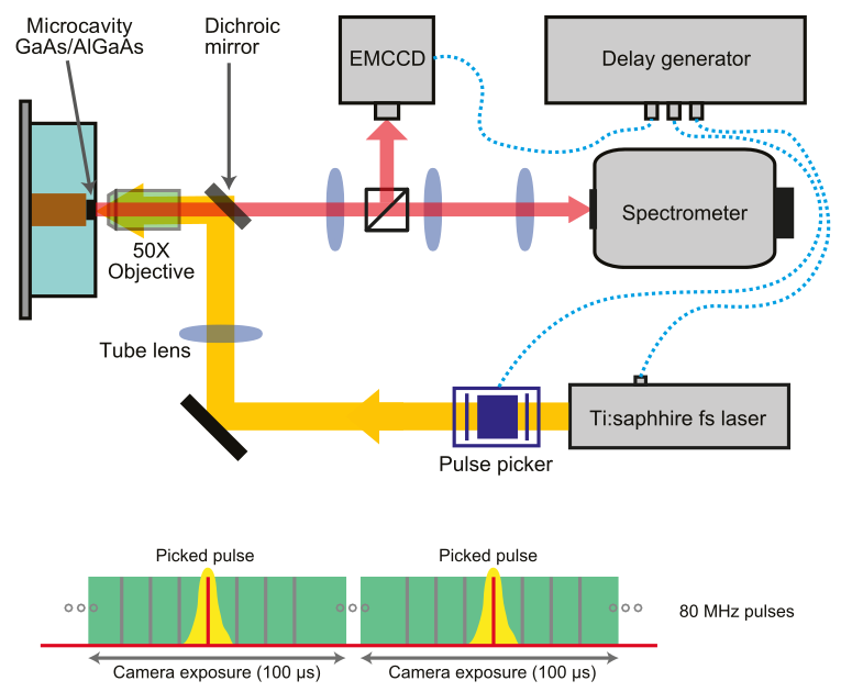 Experimental Setup