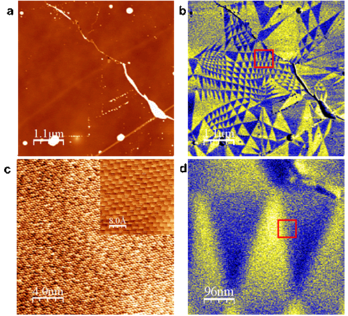 Collage made up of 4 distinct AFM images. Each image is labelled, in order: (a), (b), (c), and (d).